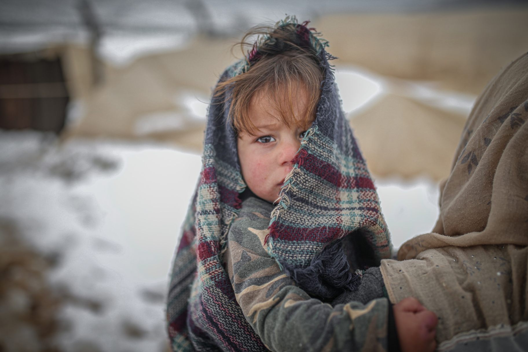 حملة زملوني ٢٠١٩